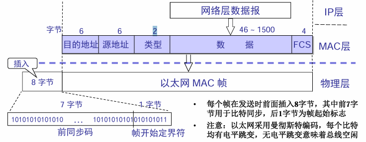 以太网帧格式