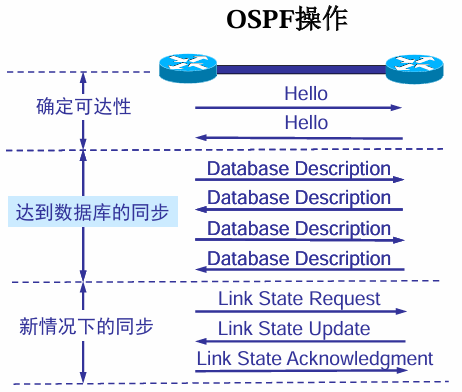 OSPF操作